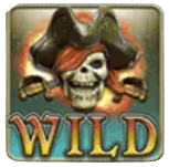 Wild Symbol